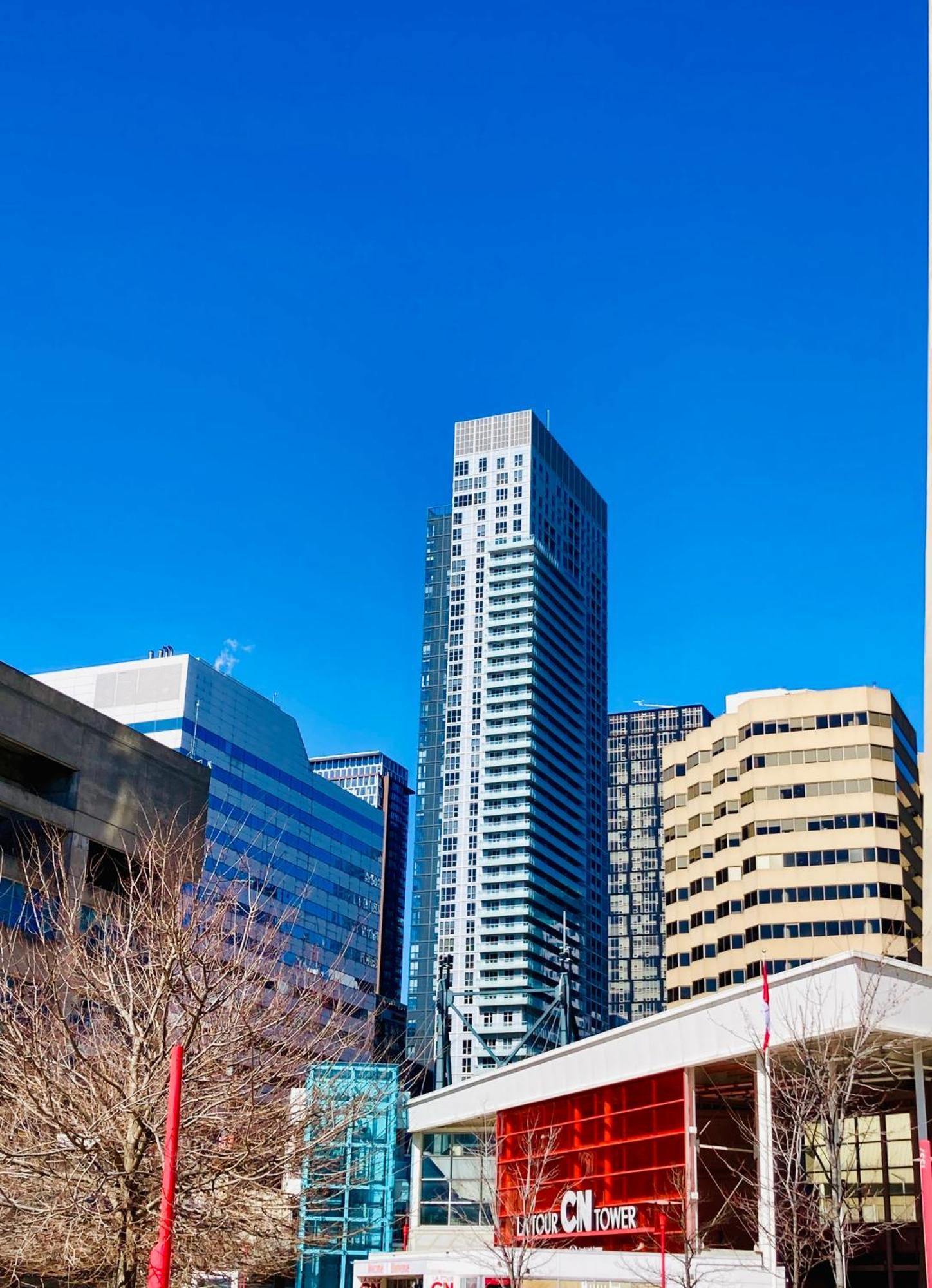 Central Toronto Suite - Free Parking, City Views, Near Cn Tower Exterior photo